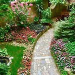 Family Daf Guest house Obzor