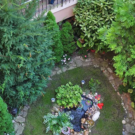 Guest house Family Daf Obzor